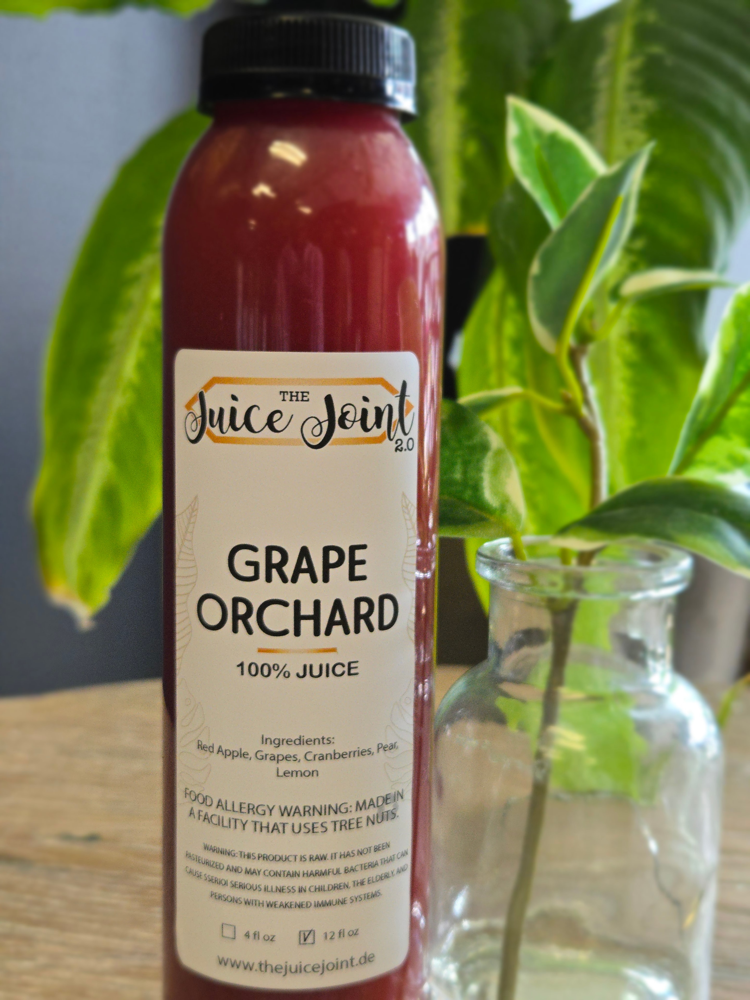 Grape Orchard